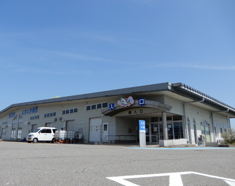 ����`�����������s