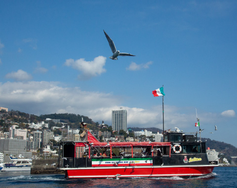 �M�C�V���D�@�T������