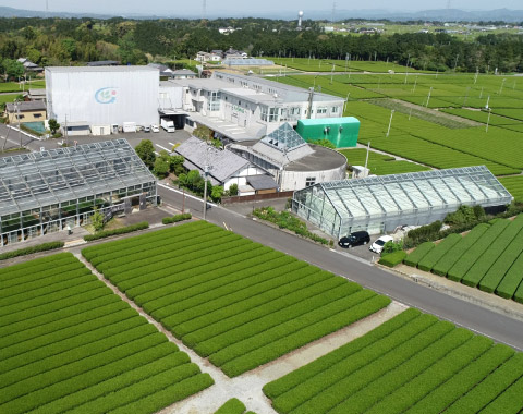 �O�����s�A�q�V��