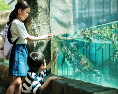 �M��o�i�i���j��