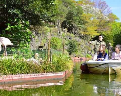 �ɓ��V���{�e����������