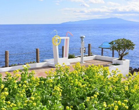 �j���[���[�N�����v�~���[�W�A�����t�����[�K�[�f��