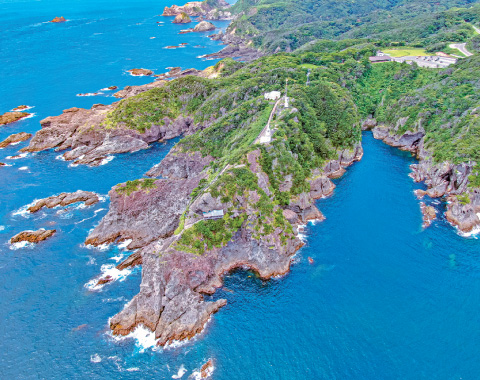 �ΘL��I�[�V�����p�[�N