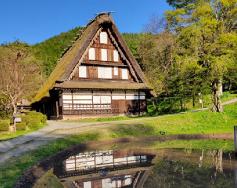 ��˖������E��˂̗�